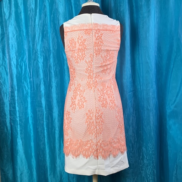 NWT - Lace overlay sheath dress (S) - Picture 4 of 6